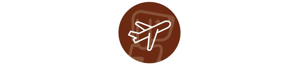 Airline Icon